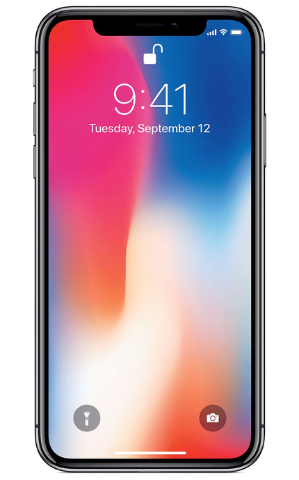 iPhone X